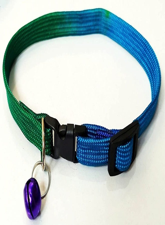 Pups&Pets Rainbow Dog Collar & Leash for Puppies, Small Dogs, Cat Collar with Bell (Adjustable Neck Size : 7-12nch) Dog Head Collar Dogs, Cat Collar with Bell (Color May Vary) - Image 4